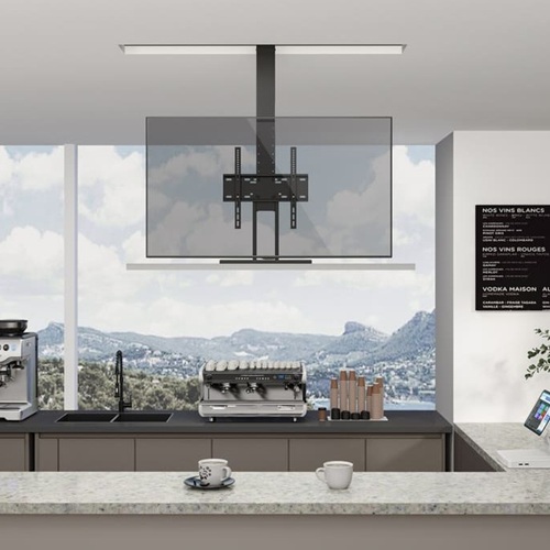 Giá Treo Tivi Di Động Brateck LP66E-46ML | Nâng Hạ Bằng Động Cơ